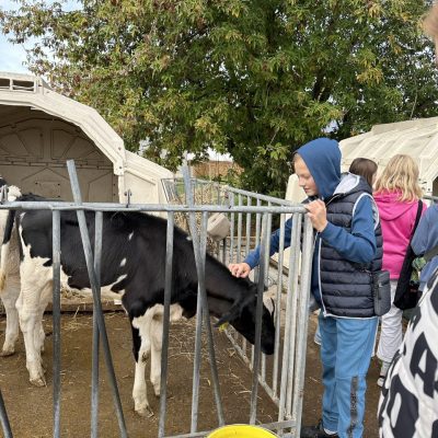 photo_2023-10-12_17-11-59