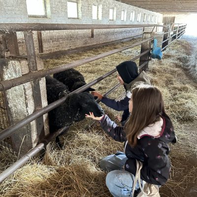 photo_2023-10-12_17-13-22